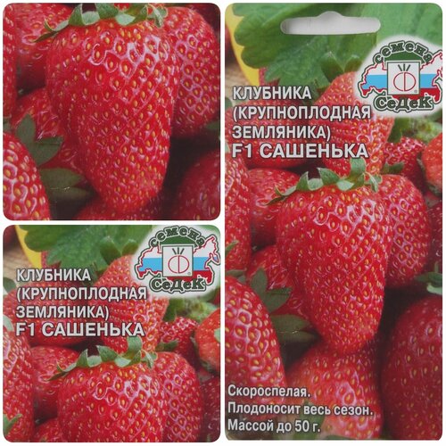 ���� ������ �������� (������������� ���������) �������� F1 (15 �����), ������ �� 159 ���