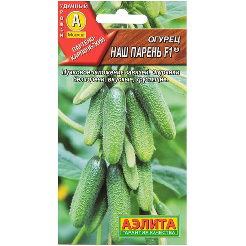 ���� ������ ������ 