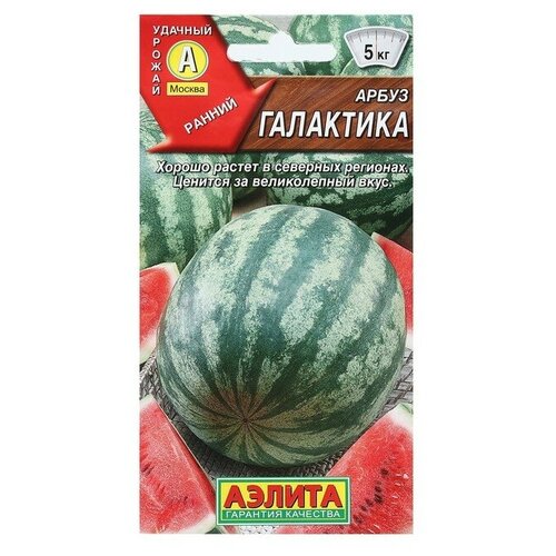 ���� ������ ����� ���������, 1 �, ������ �� 42 ���