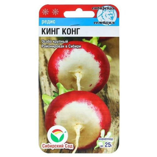 ���� ������ ����� ����-����, 2 �, ������ �� 113 ���