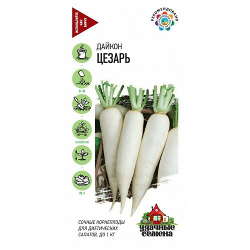 ���� ������. ������ 