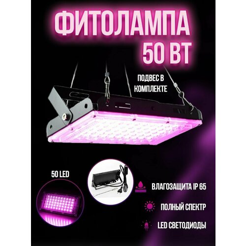 ���� ��������� ��������� ��� �������� � ������� (50 ����), ������ �� 1050 ���