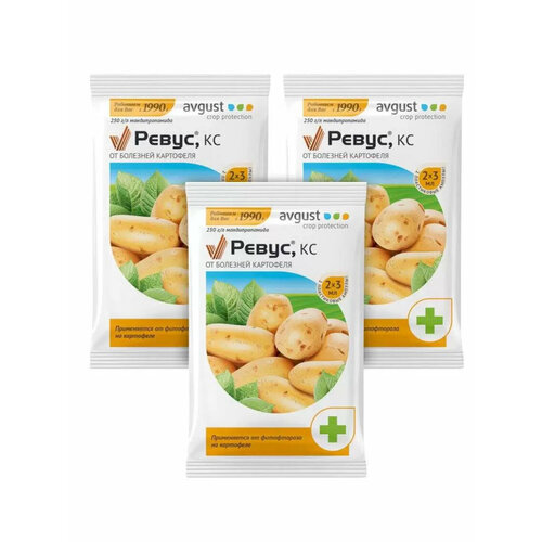 ���� Avgust �������� �� �������� ��������� �����, ��, 2 ��. � 3 �� 3 �����, ������ �� 190 ���