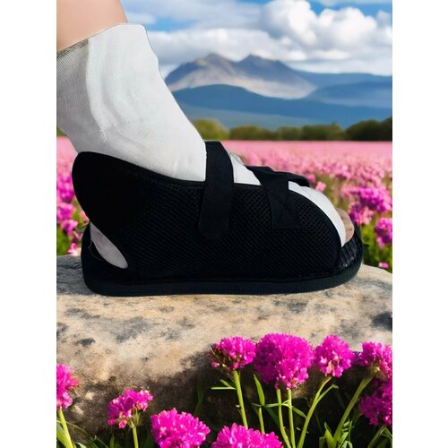 ���� ����� ��� ����� ������ XS, ������ �� 1300 ���