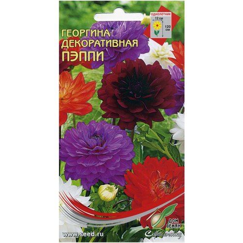 ���� �������� ������������ �����, 15 �����, ������ �� 243 ���