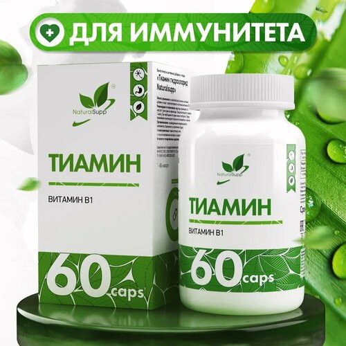 ���� ������ Vitamin B1 60 ���. NaturalSupp, ������ �� 460 ���