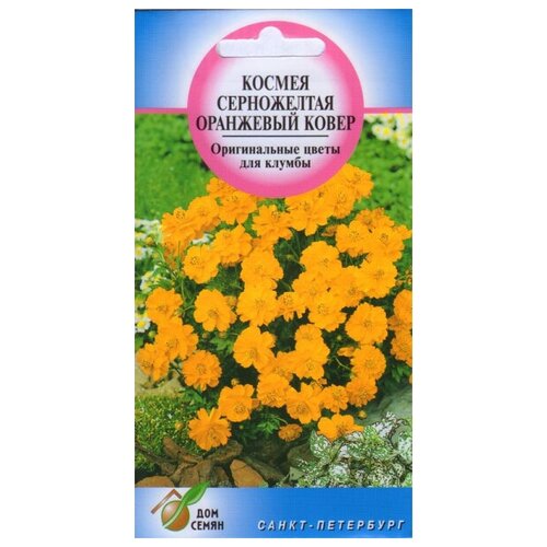 ���� ������ ��������� �����, 25 �����, ������ �� 234 ���