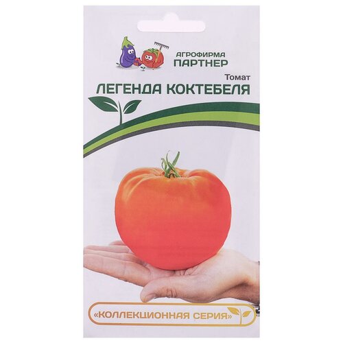 ���� ������ ����� 