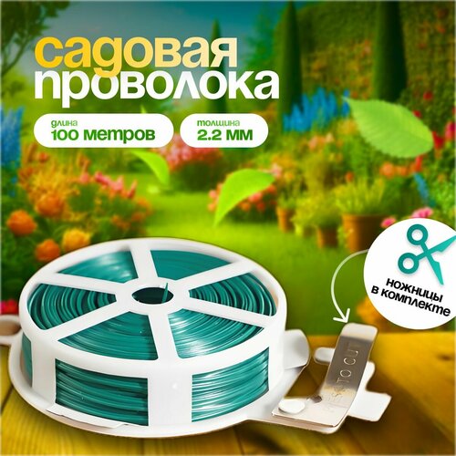 ���� �������� ��� ������� �������� � ������ / ������� �������� ������� 100�, ������ �� 299 ���