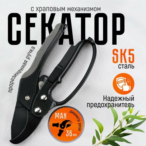      ,    , ,  36,   1400 