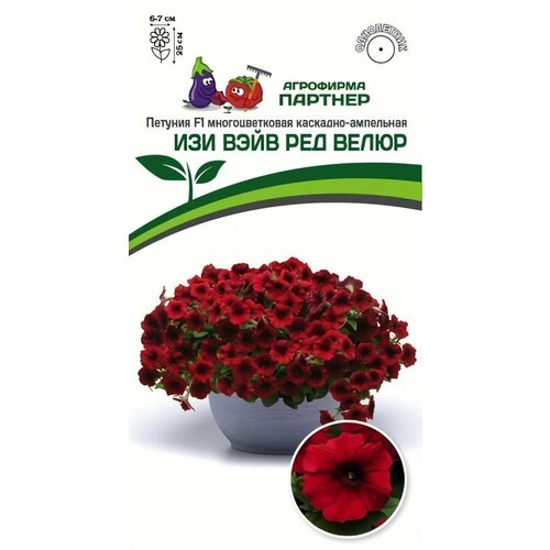 ���� ������ ������ ��������� ������� 