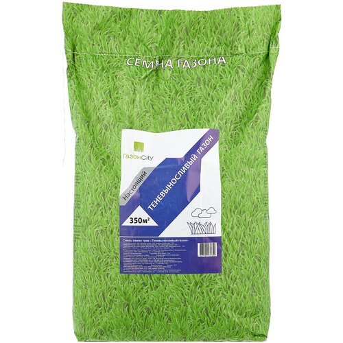 ���� ����� ����� �����City ��������� �������������� �����, 10 ��, 10 ��, 10000, ������ �� 6782 ���