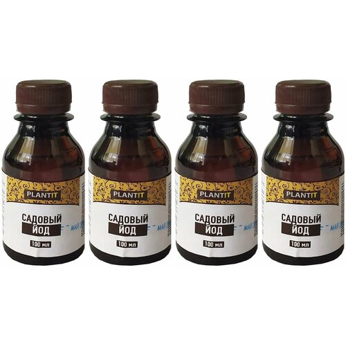 ���� ��� ������� �� ����������� �� �������, ���, ���� 