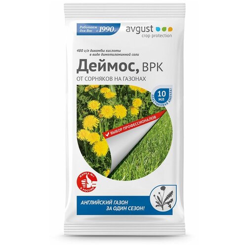 ���� Avgust �������� �� �������� �� ������� ������, 10 ��, ������ �� 93 ���