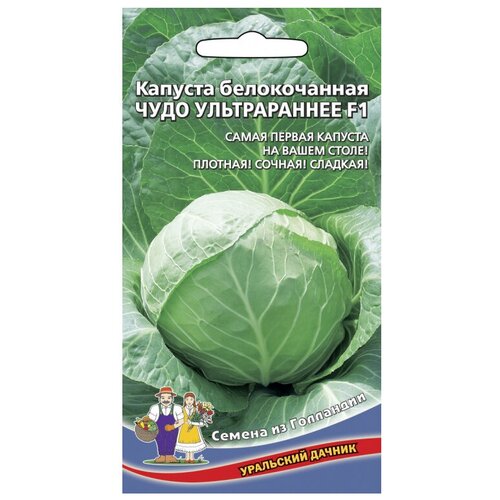 ���� ������ ��������� ������ �� ��������� ������� ������������ ���� ������������ F1 0.3 �, 3 ��., ������ �� 259 ���