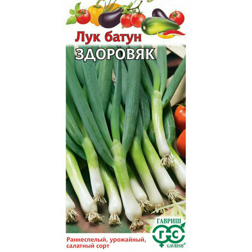 ���� ������ ��� ����� ��������, 0,5�, ������, ������� ���������, 10 ��������, ������ �� 293 ���