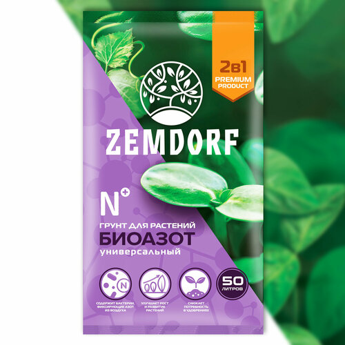 ���� ����� ������������� ����������� ������� 