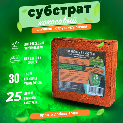 ���� ��������� �������� ������������ ������ ����������, 25 �, 2 ��, ������ �� 915 ���