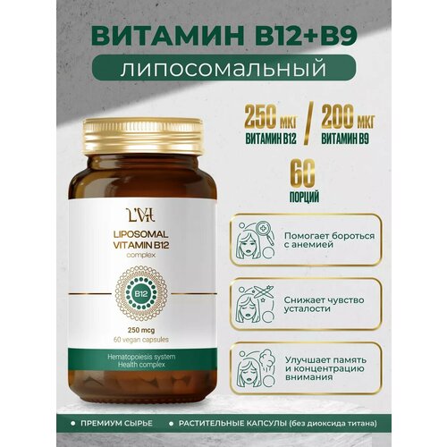 ���� ������������� �������� �12 + �9 60 ������, ������ �� 3100 ���