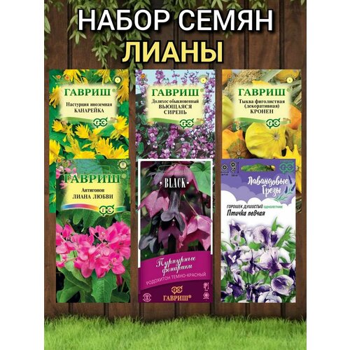 ���� ������ ������ ������ ����� ��� ����: ���������, �������� �������, ���������, �������, ���������, ����� ������������, ������ �� 538 ���