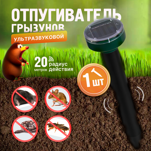 ���� ������������ ������, �����, ����, ����, �������� ��������������, 1��., ������ �� 680 ���