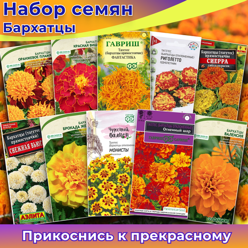 ���� ������ ��������� 