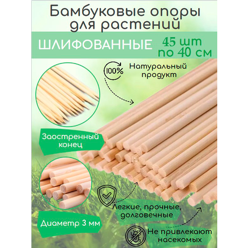          40 ,   , ,  3,   399 