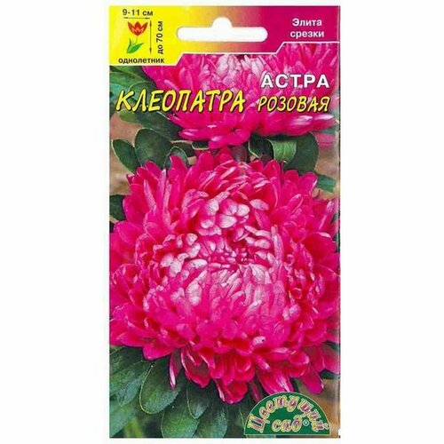 ���� ������ ����� ��������� �������, ����������, (�������� ���) 0,2�, ������ �� 52 ���