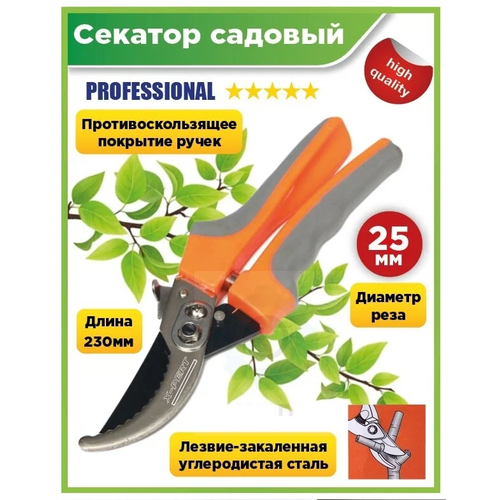 ���� ������� ������� ����������������, ������� ���� �� 25 ��, ��������, �������� ��� �������� � ������, ������ �� 450 ���