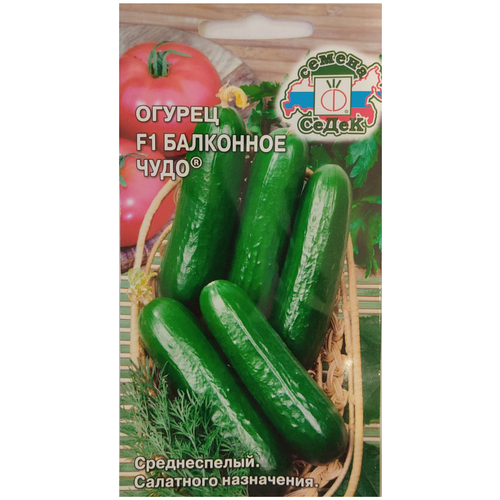 ���� ������ ������ ��������� ���� F1, 0,2 ��, ������ �� 49 ���