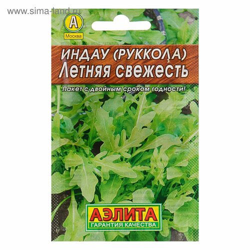 ���� ������ ����� (�������) 