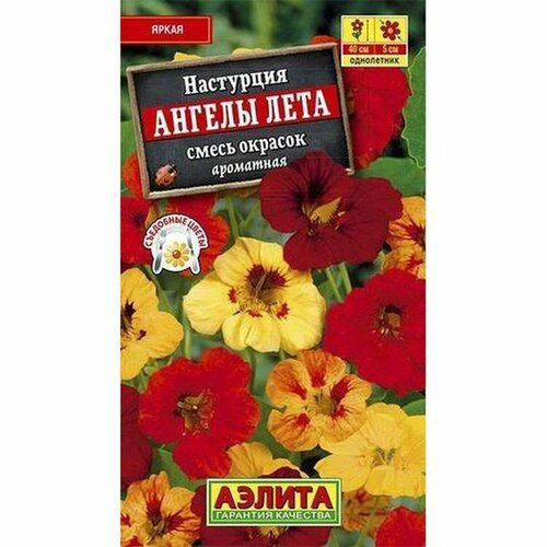 ���� ������ ��������� ������ ����, �����, ����������, (������) 1�, ������ �� 42 ���