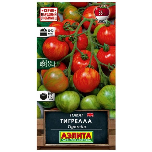 ���� ������. ����� 