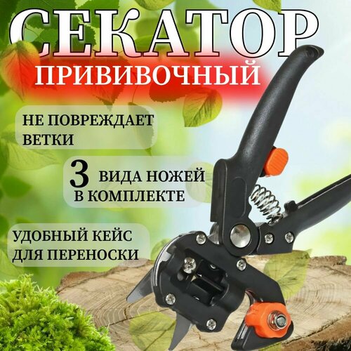 ���� ������� ����������� ����� ����� / �������� ��� �������� ��������, ������ �� 899 ���