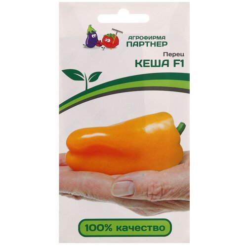 ���� ������ ����� 