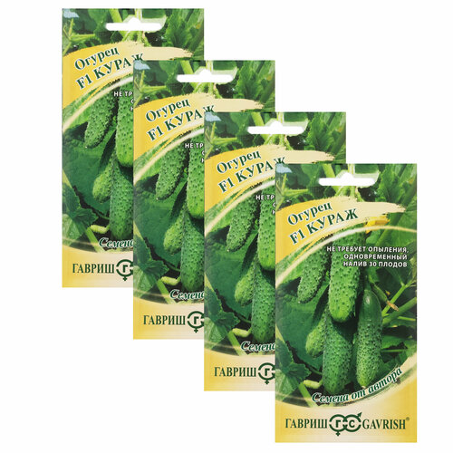     F1 10 . () , 4  * 10 ,   384 