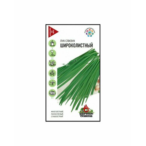 ���� ������� ������ ��� ������ ������������� , 0,5 �����, ������ �� 41 ���