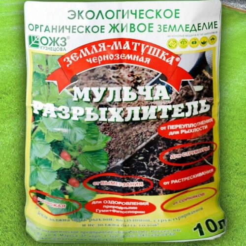 ���� ������ / ������������ ����� ��� ��������� ��������-�������� ������ , 10�, ������ �� 599 ���