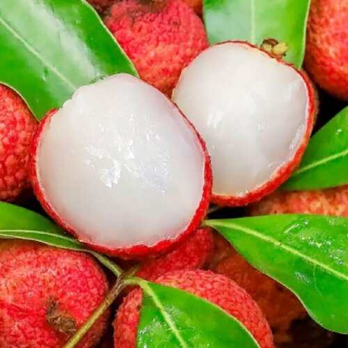 ���� ������ ������ ����, ����� 2 ��., ������ �� 400 ���