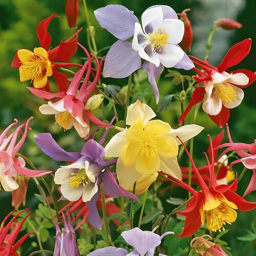 ���� �������� (���������) ��������� ������, ����� 0.1 ������ ����� ������� ������, ������ �� 199 ���