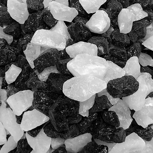 ���� ����������� ����� ��� ��������, ����������� � ��������, Zoo One, ��������� ��������, 