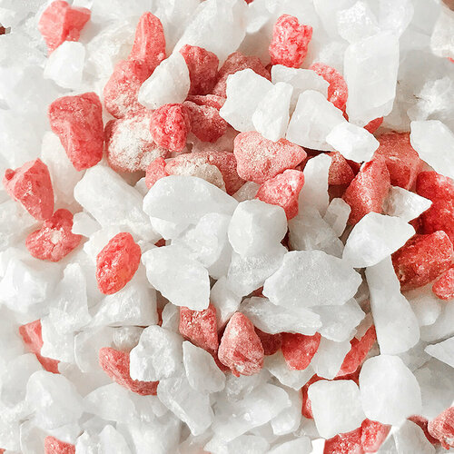 ���� ����������� ����� ��� ��������, ����������� � ��������, Zoo One, ��������� ��������, 