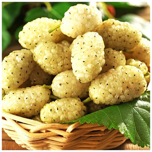 ���� ������ ��������� ��������� ����� �������, 20 ��, ������ �� 353 ���