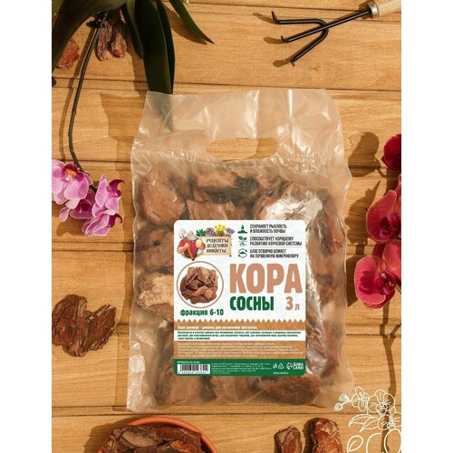 ���� �������� ���� �������� ������� ������� (3 �����), ������ �� 775 ���