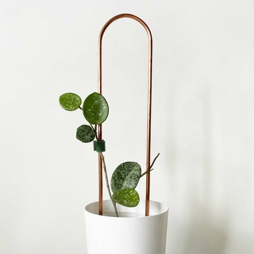       XS,  25 ,  5 ,   600 