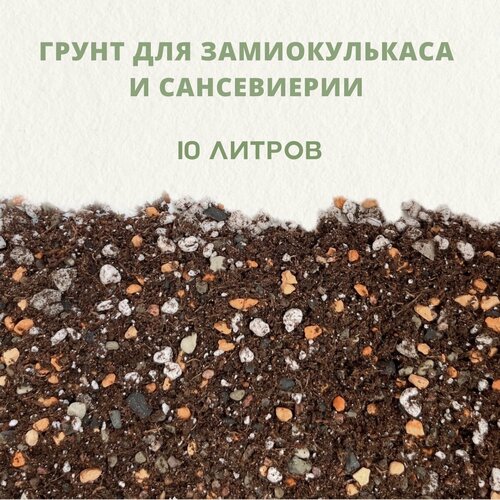 ���� ������� ����� ��� ������������� � �����������. ����� ��� �������������., ������ �� 2970 ���