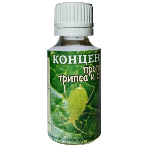 ���� ����������� ���������� ���������� ������ ������� ���, ������, ����� � ������ ������� ���������� 30 ��, ������ �� 404 ���