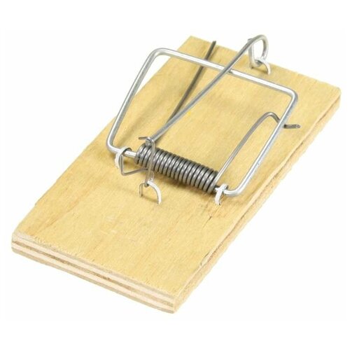 ���� ��������� ����������, ������ �� 259 ���