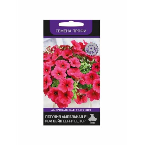 ���� ������ ������� ��������� �3 ��� ���� ���� ����� ���� 5 ��., ������ �� 529 ���