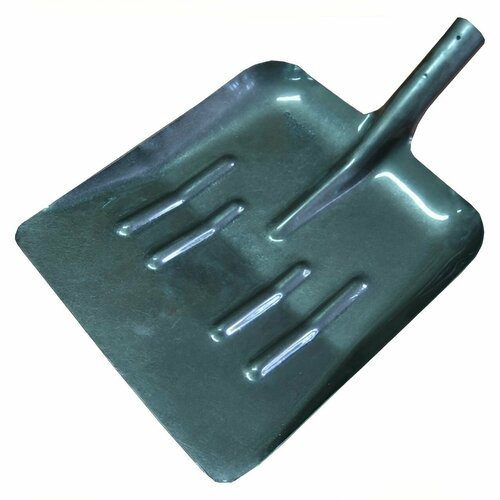 ���� ������ ��������� �� ��������� ����� 